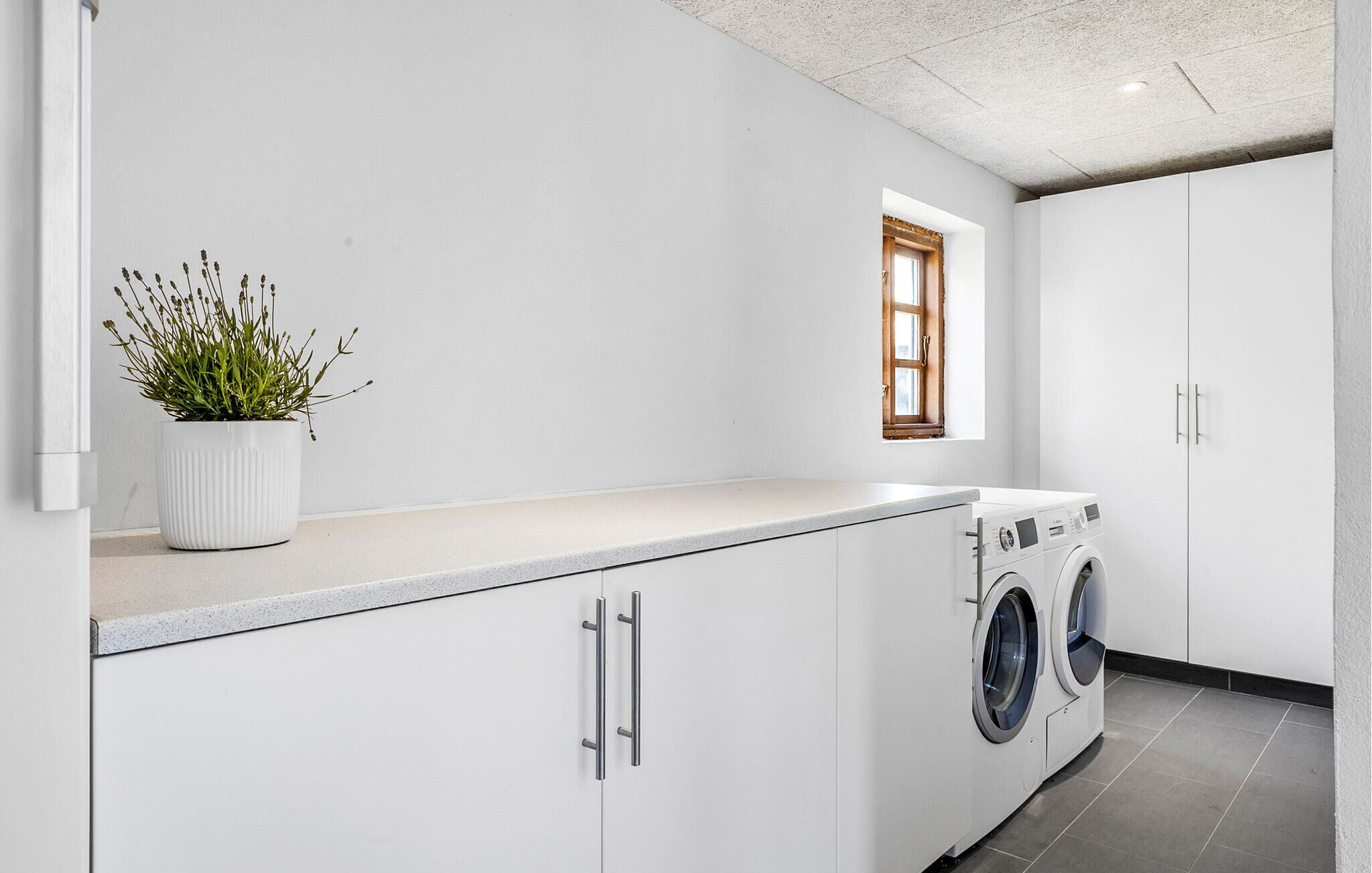 Une buanderie équipée d’un lave-linge, d’une plante en pot et d’une fenêtre.