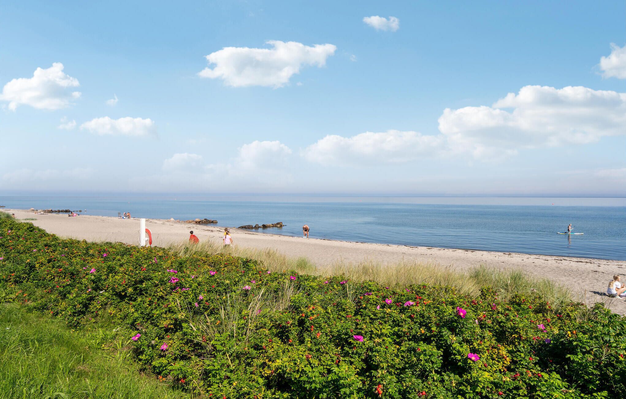 Plage à proximité, pêche sur place
