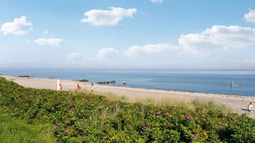 Plage Ă proximitĂ©, pĂȘche sur place