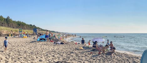 Beach nearby, fishing