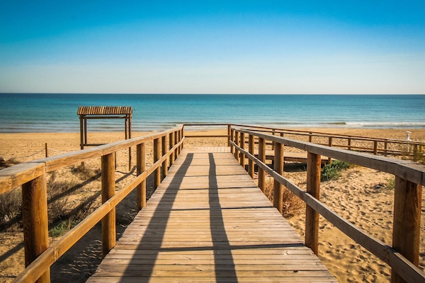 Vlak bij het strand, vissen