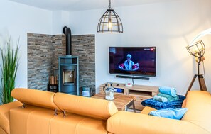 Fernseher, Kamin