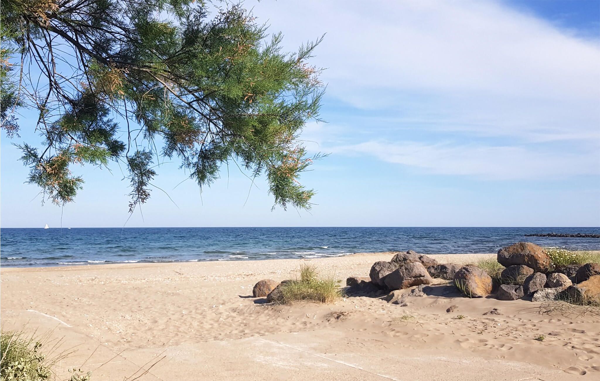 In Strandnähe, Angeln