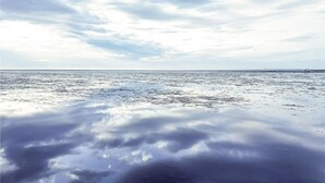 A beach with a calm sea and a cloudy sky. - Gorgeous apartment in Friedrichskoog OT Frie (Friedrichskoog OT Frie)