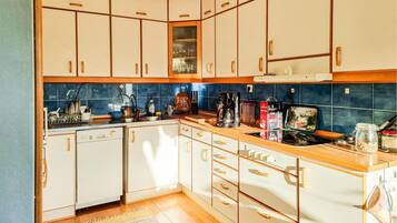 Fridge, stovetop, dishwasher