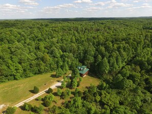 A remote cabin surrounded by dense forest, accessible by a dirt path. - Family Adventure Cabin in Mammoth Cave Country - Hot Tub - Disc Golf - Sleeps 8 (Mammoth Cave)