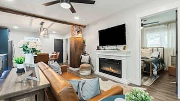 Smart TV, fireplace, books