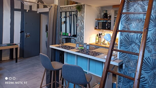 Coffee/tea maker, fridge, microwave, electric kettle - Le Mini Loft *** La Suite, Montargis. (Montargis)