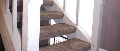 Eine Treppe mit Teppichstufen und weißen Geländern.