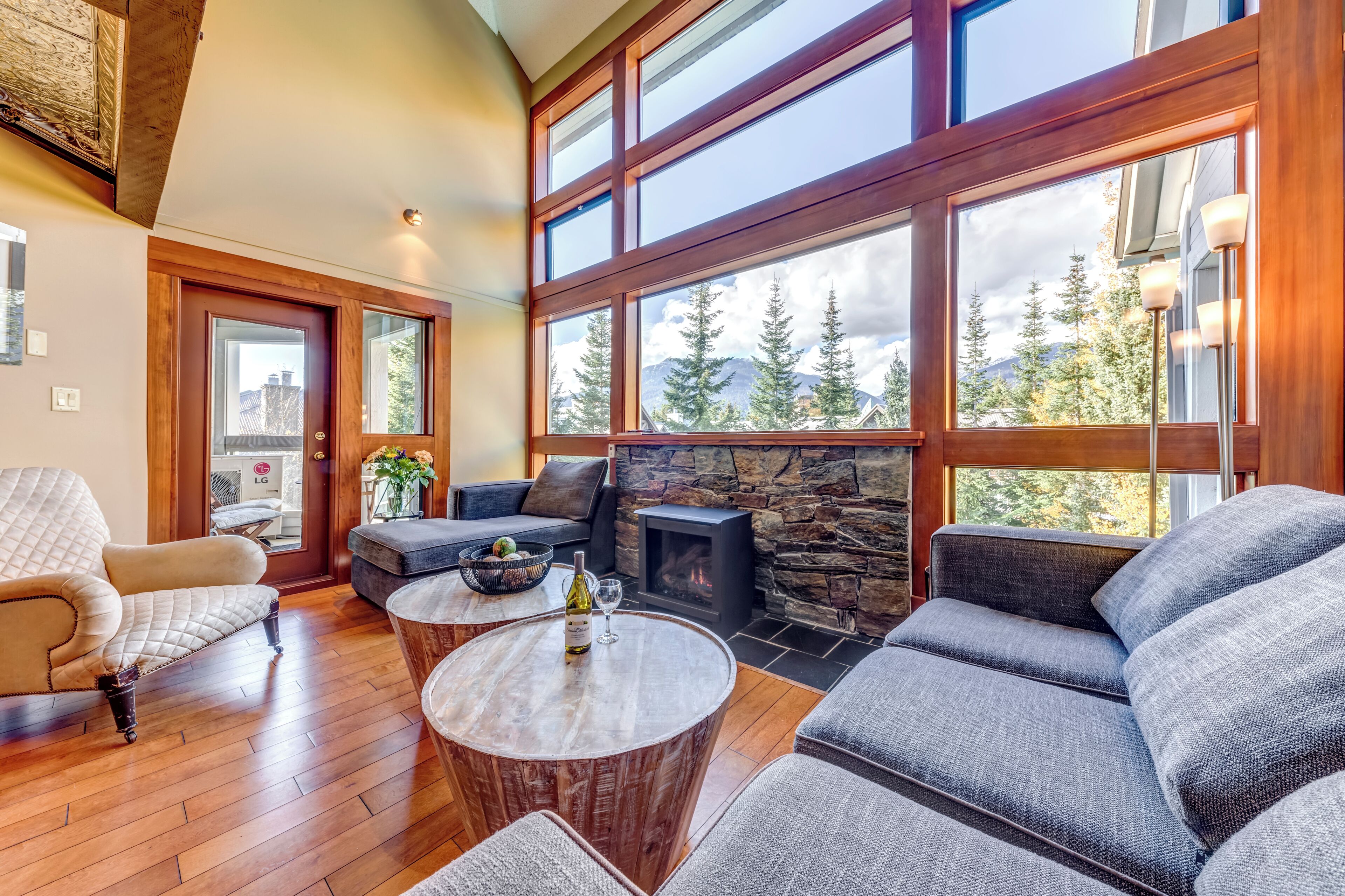 电视、壁炉、DVD 播放器