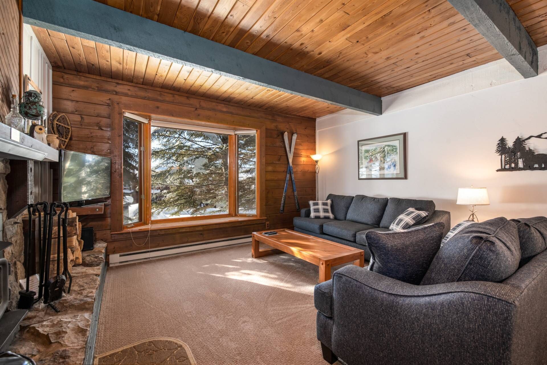 Smart TV, chimenea, reproductor de DVD y libros 