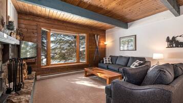 Smart TV, chimenea, reproductor de DVD y libros