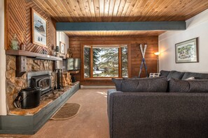 Smart TV, fireplace, DVD player, books