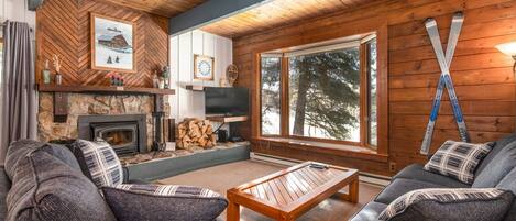 Televisor intel·ligent, llar de foc, reproductor de DVD i llibres