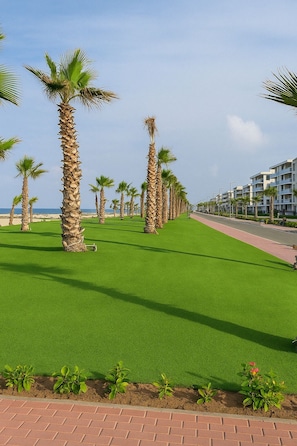 A pathway lined with palm trees and a green lawn, leading to a building with a red brick facade.