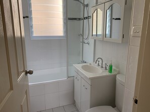 Duschwanne, Haartrockner, Seife, Toilettenpapier
