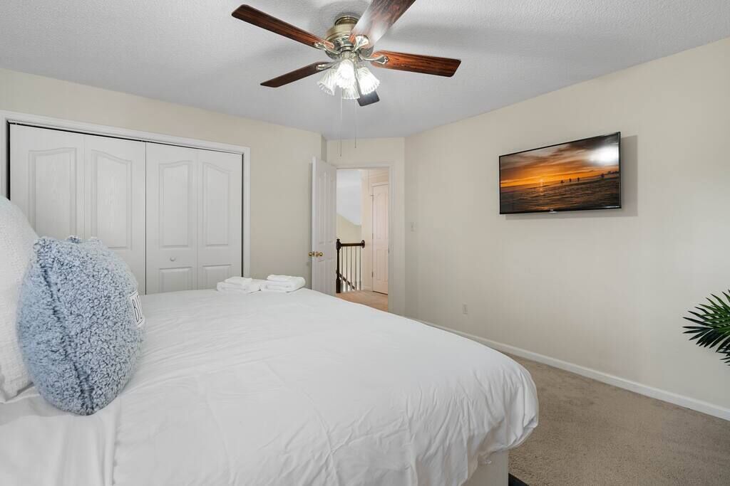 A bedroom with a bed, a ceiling fan, a white door, a framed picture, and a plant.
