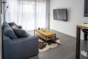 Télévision, lecteur de DVD, livres