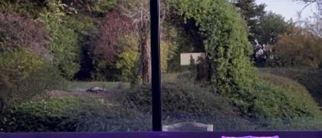 Piscine couverte, piscine chauffée