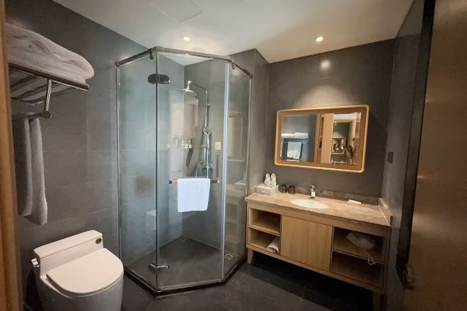 A modern bathroom with a glass-enclosed shower, a toilet, a vanity with a mirror, and a towel rack.