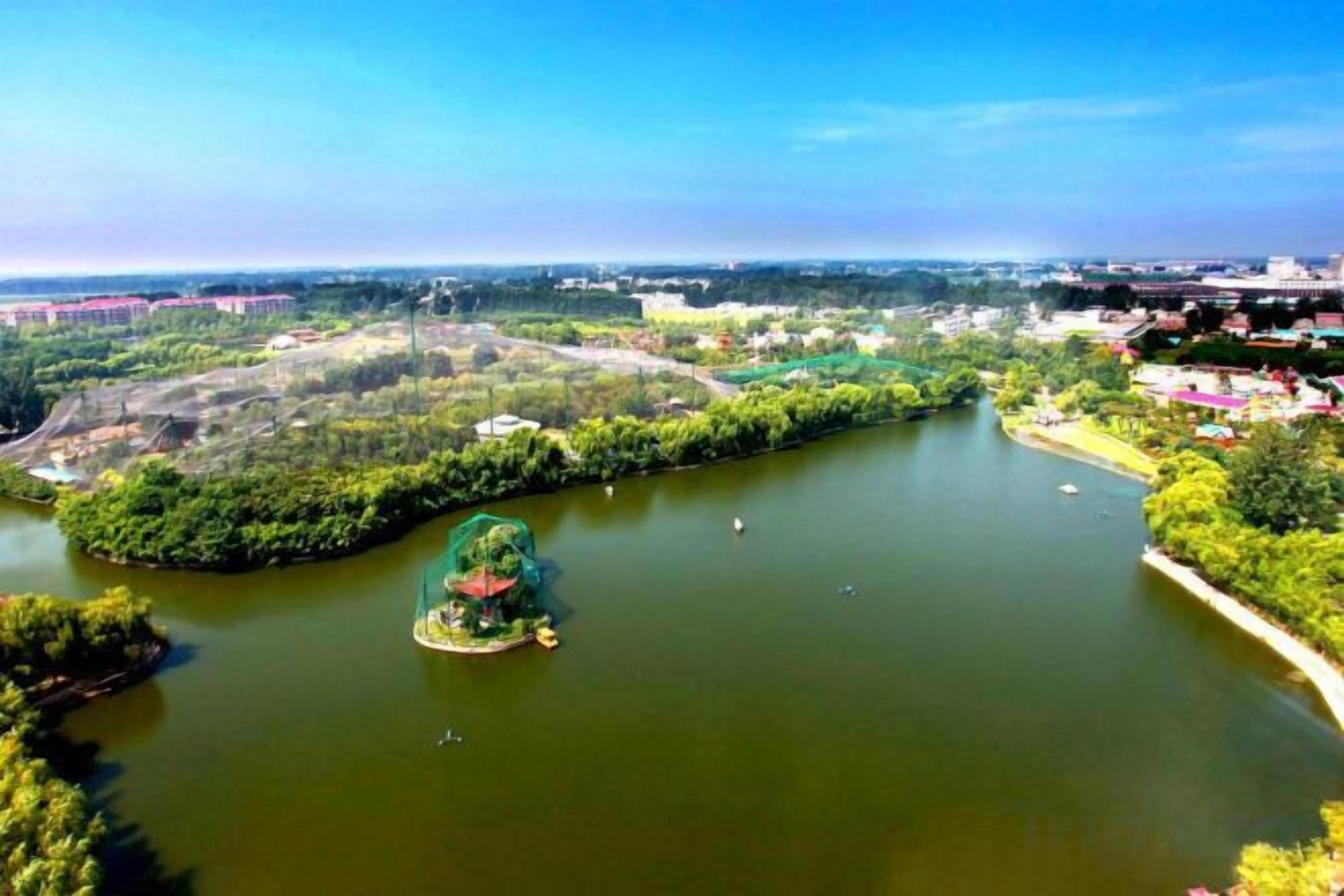 Une rivière avec une petite île et une végétation luxuriante sur les rives.