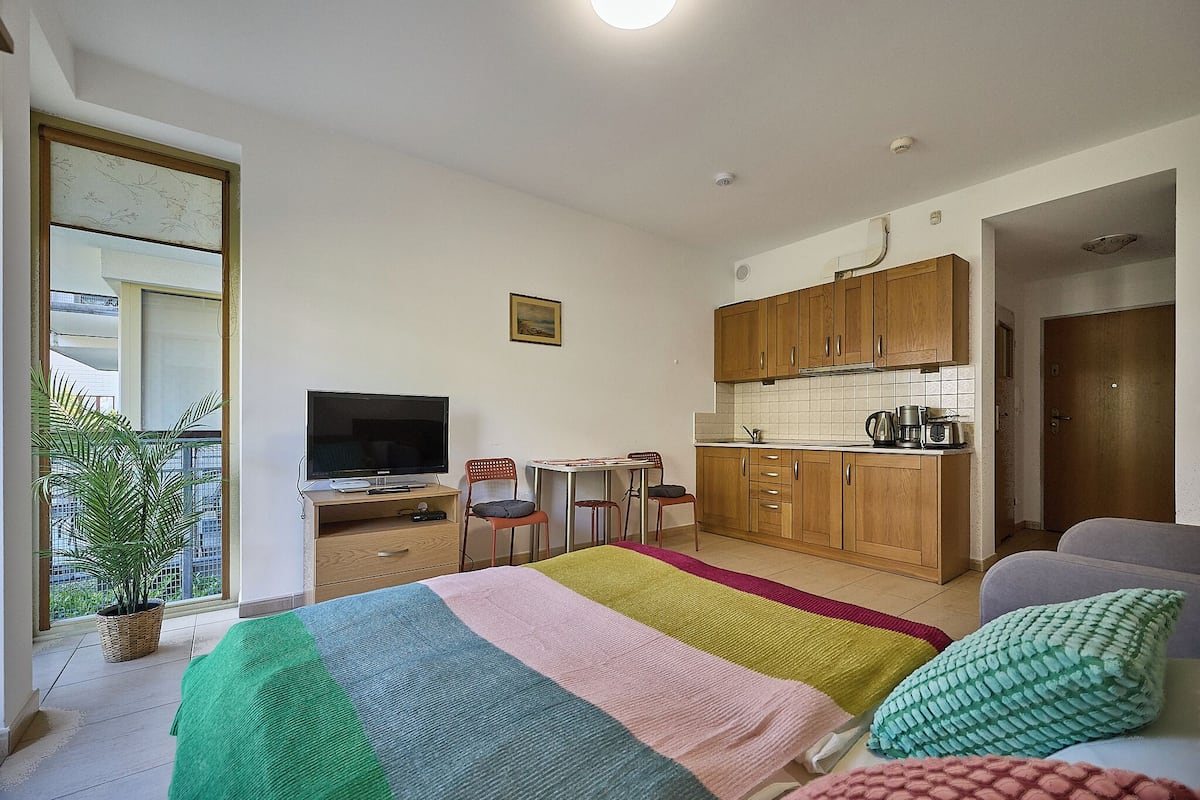 A bedroom with a bed, a TV, a desk with chairs, a kitchen area, and a potted plant.