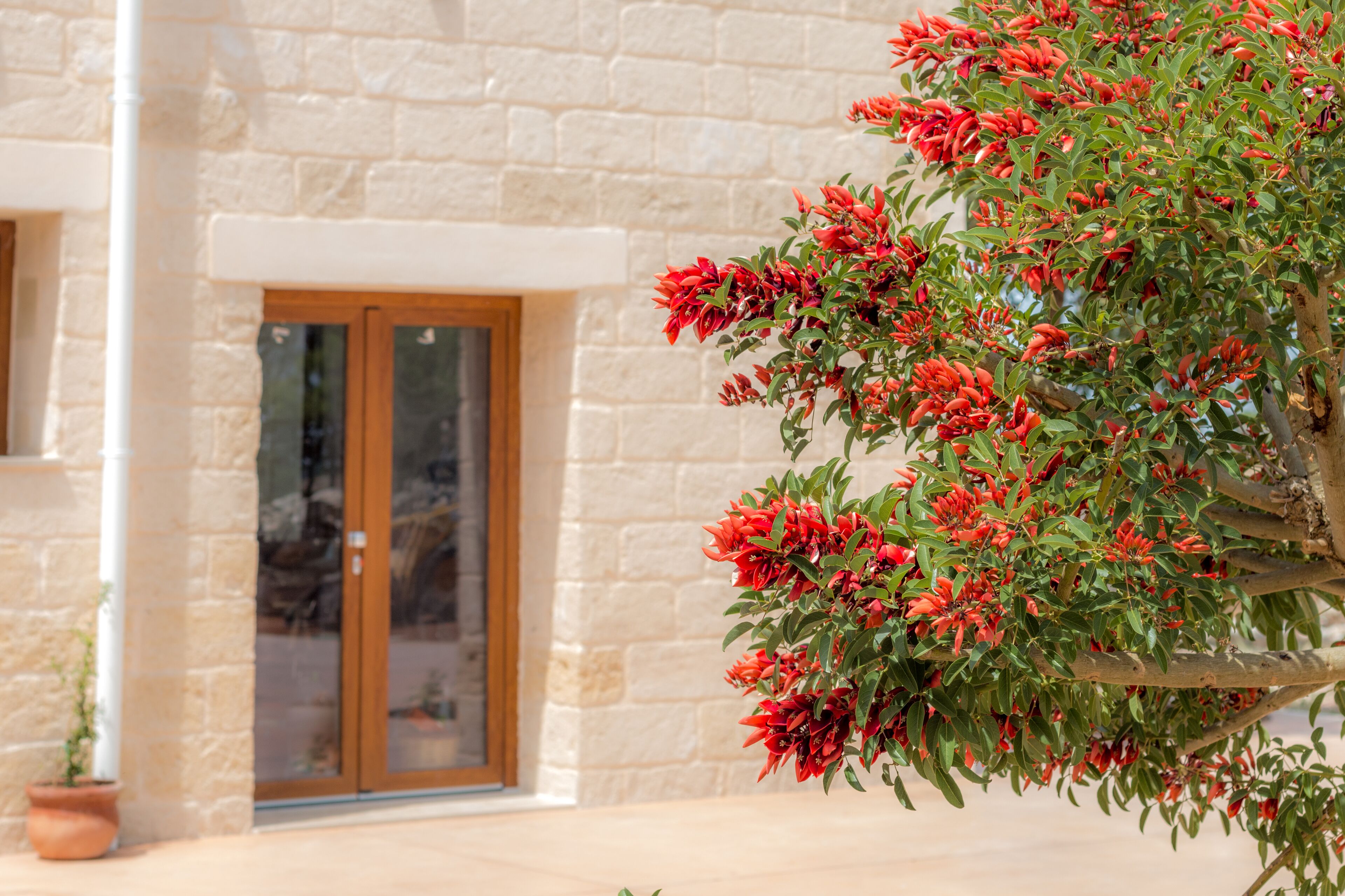 House, 2 Bedrooms, Smoking, Patio | Property entrance