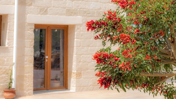A stone building with a wooden door and a potted plant in the foreground. - Once Upon a Time in Masseria Sitamara (Lecce)