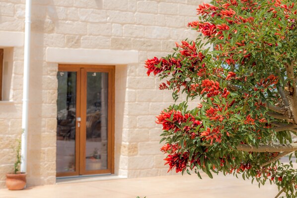 House, 2 Bedrooms, Smoking, Patio | Property entrance