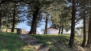 A set of stone steps leading up a grassy slope, surrounded by trees and a building in the background. - "imotski Blaue See Apartments , Pool" (Imotski)