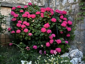 Property grounds - Imotski Blaue See Apartments , Pool (Imotski)