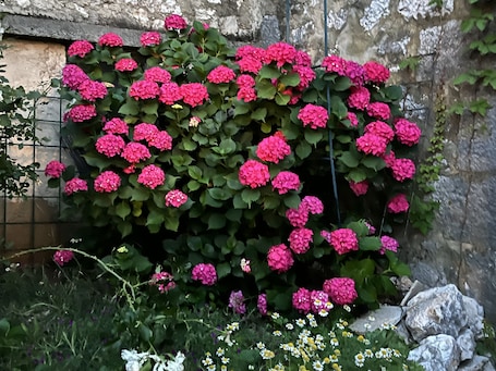 House, 1 Bedroom, Smoking, Private Pool | Property grounds