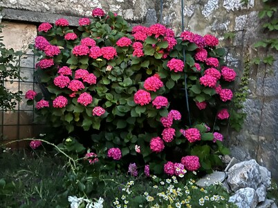 Imotski Blaue See Apartments , Pool