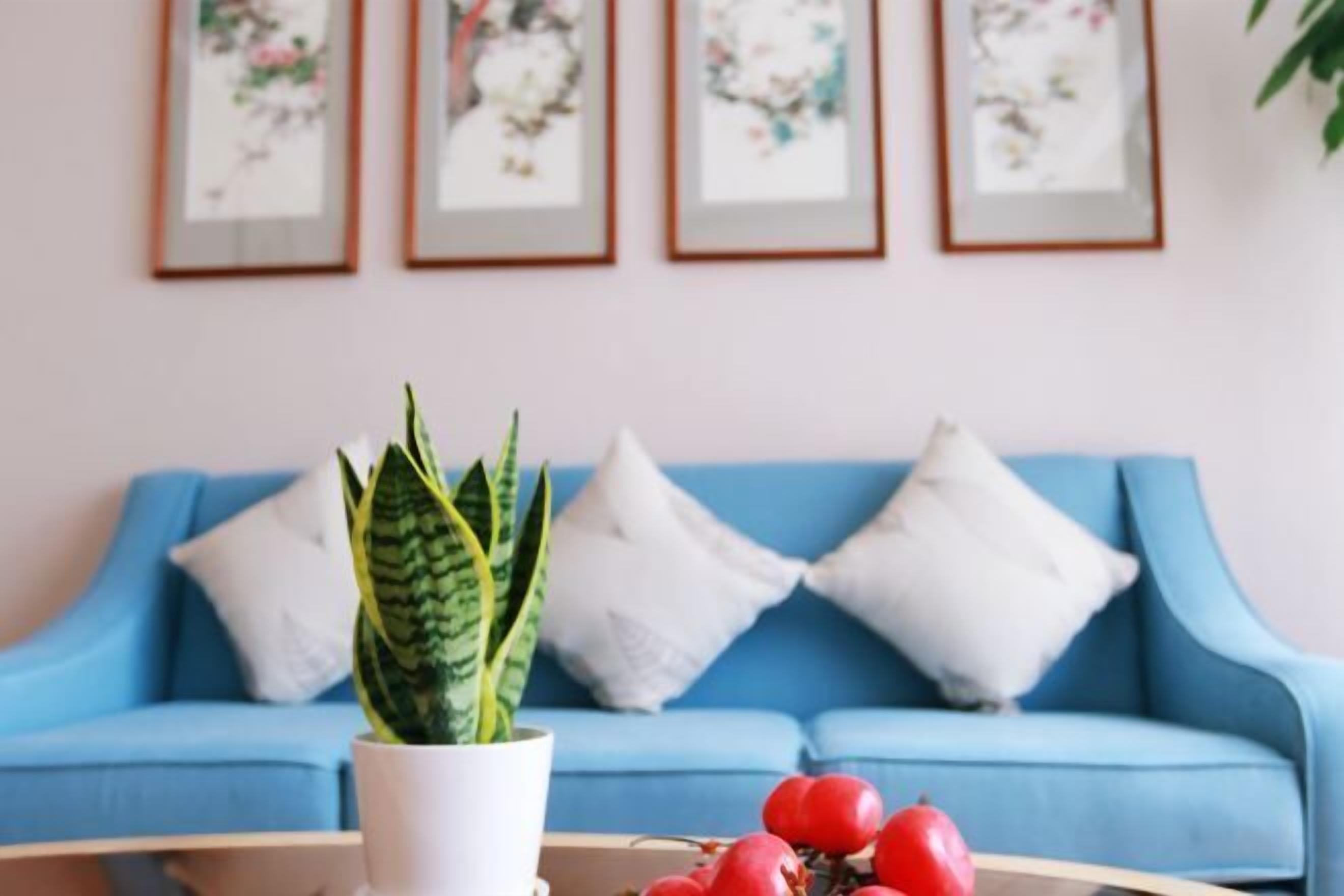 A living room with a blue sofa, white cushions, and a potted plant on a coffee table.