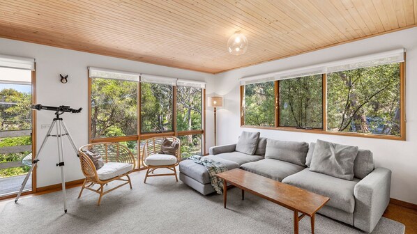 Televisión y chimenea