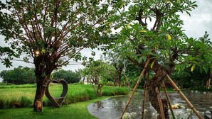Un jardí amb una banca amb forma de cor, un estany petit i vegetació abundant.