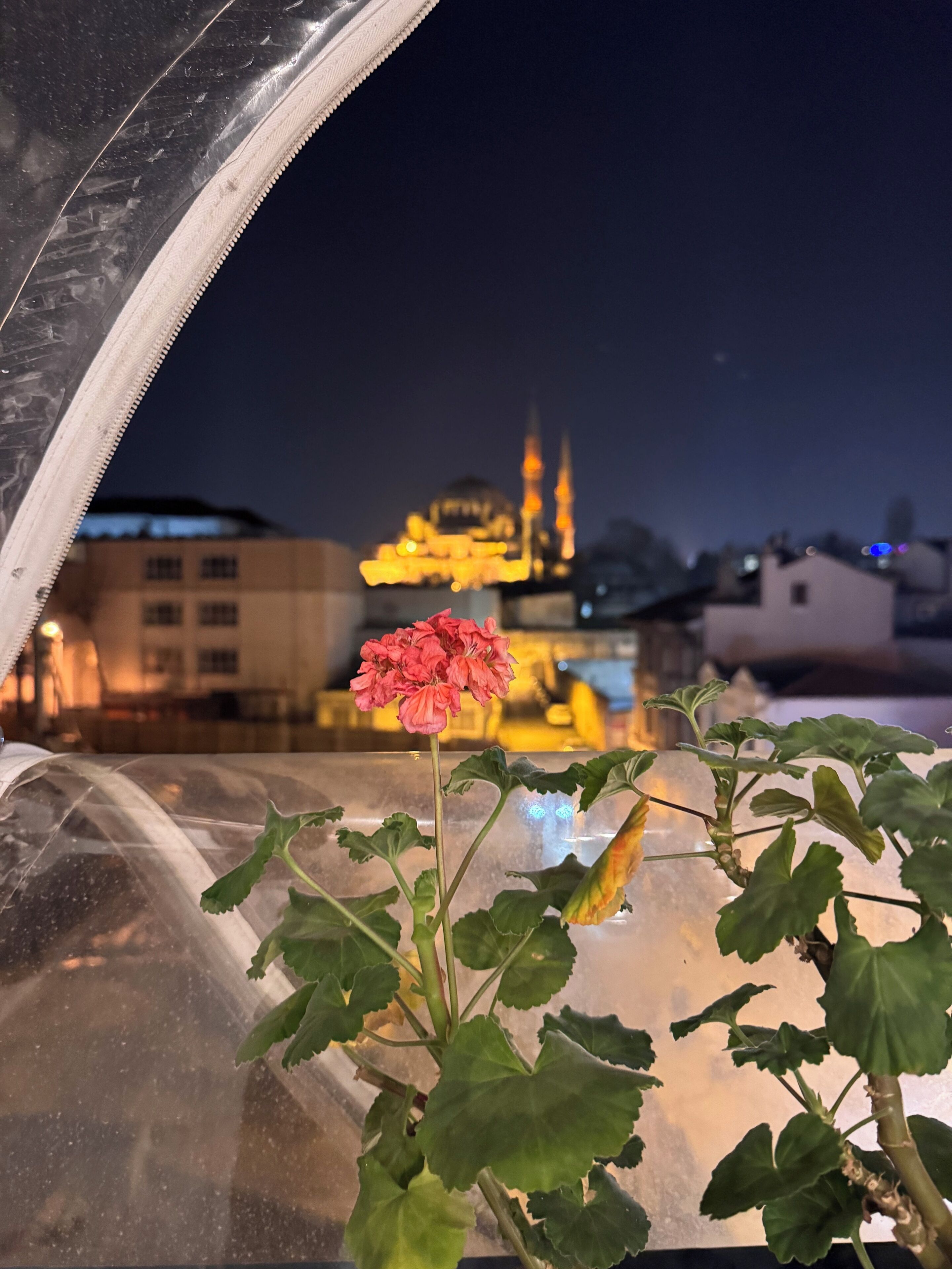 Foto - RENOVA hOTEL FATİH