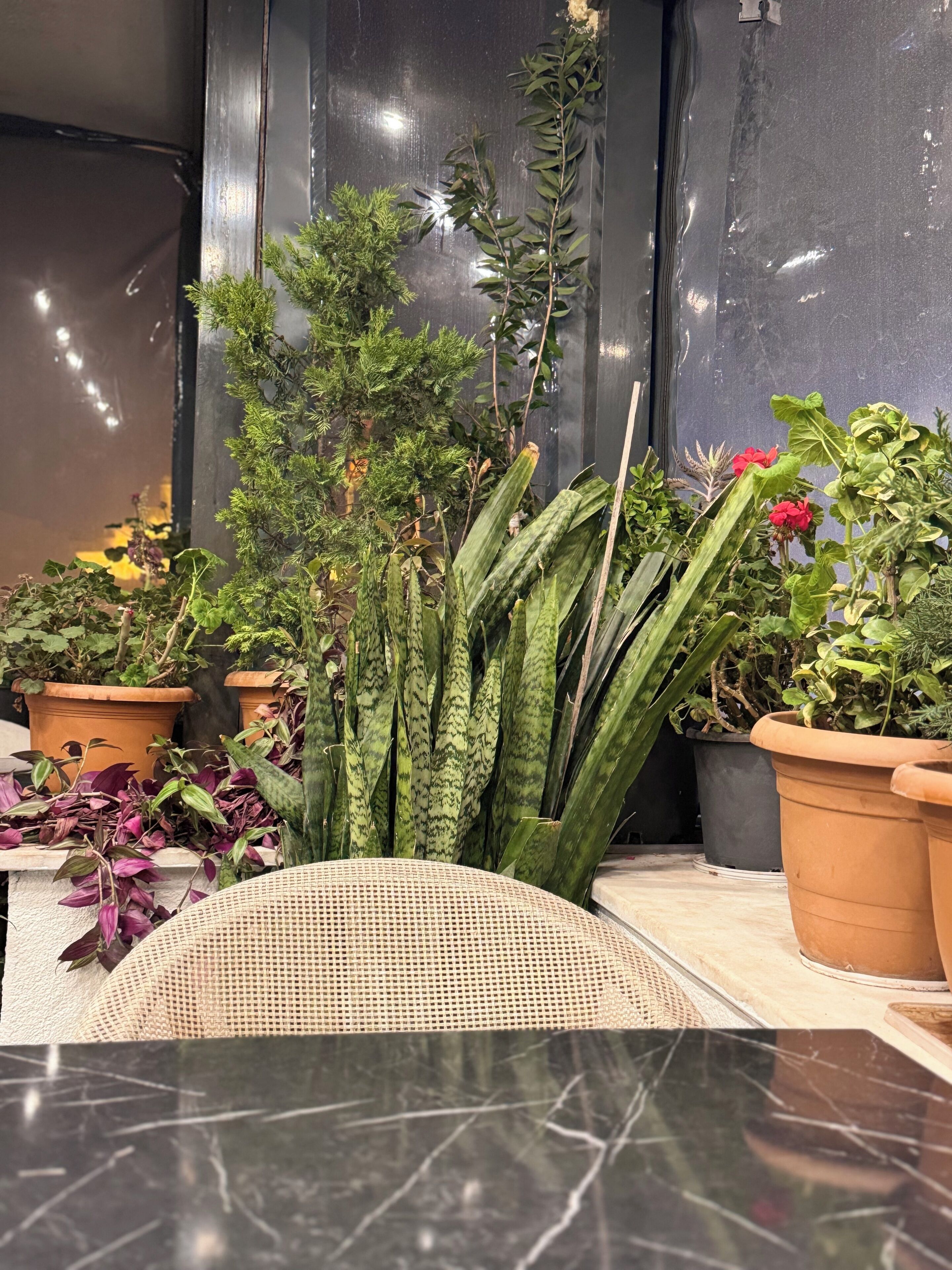 Foto - RENOVA hOTEL FATİH