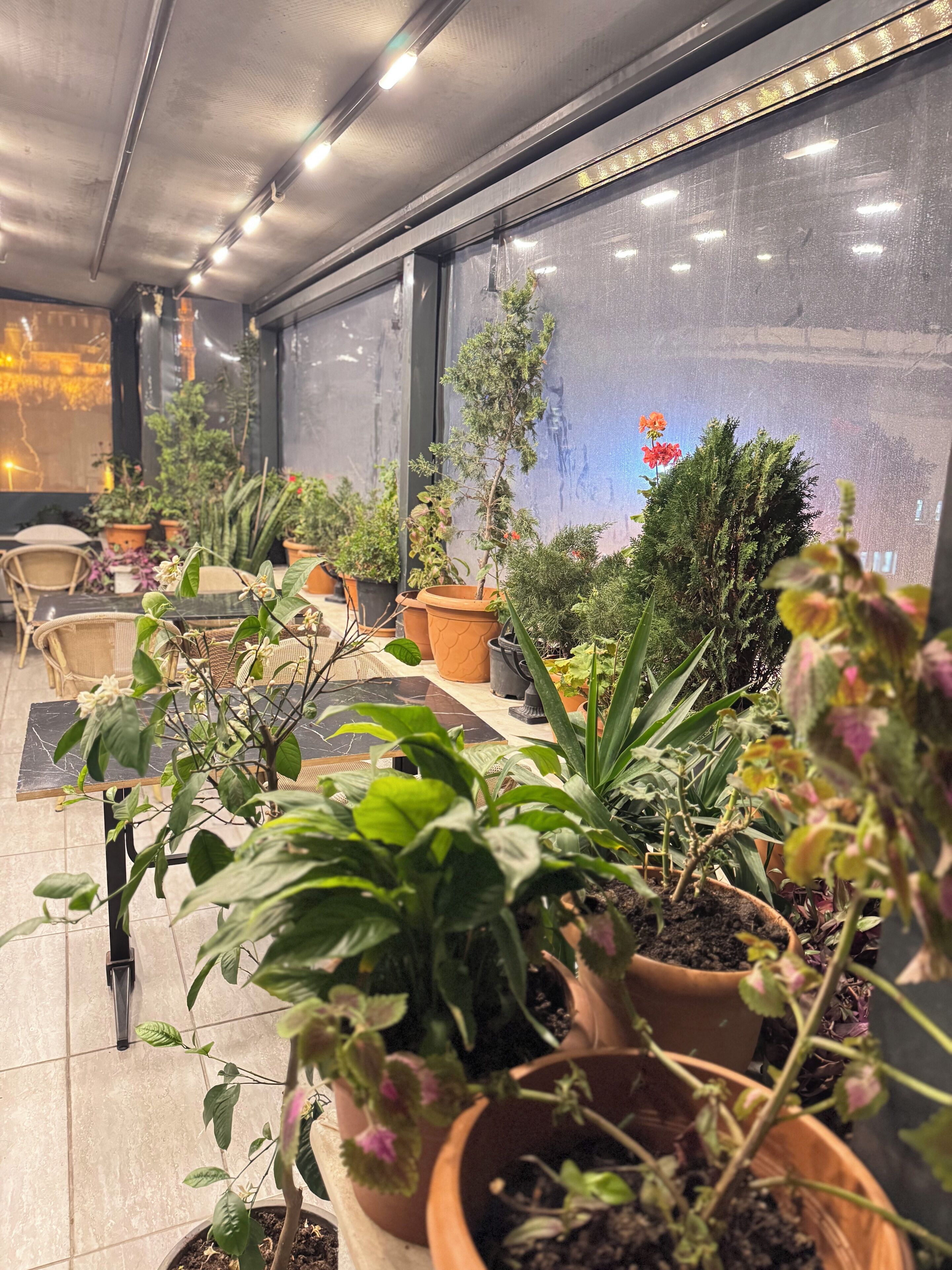 Foto - RENOVA hOTEL FATİH