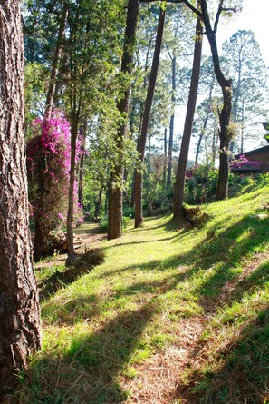 House, 3 Bedrooms, Smoking, Private Pool | Property grounds