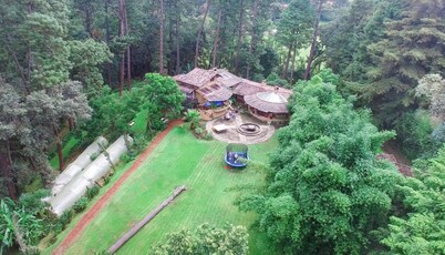Country House In The Woods With River