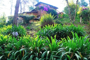 House, 3 Bedrooms, Smoking, Private Pool | Property grounds - Country House In The Woods With River (Valle de Bravo)