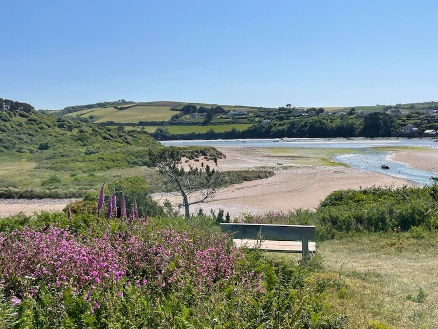 A coastal landscape with a bench, a river, and rolling hills.