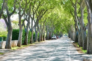 Ngoại thất