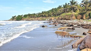 Una playa con olas, rocas y palmeras.