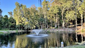 A tranquil pond with a fountain in the center, surrounded by a grassy area and dense trees.