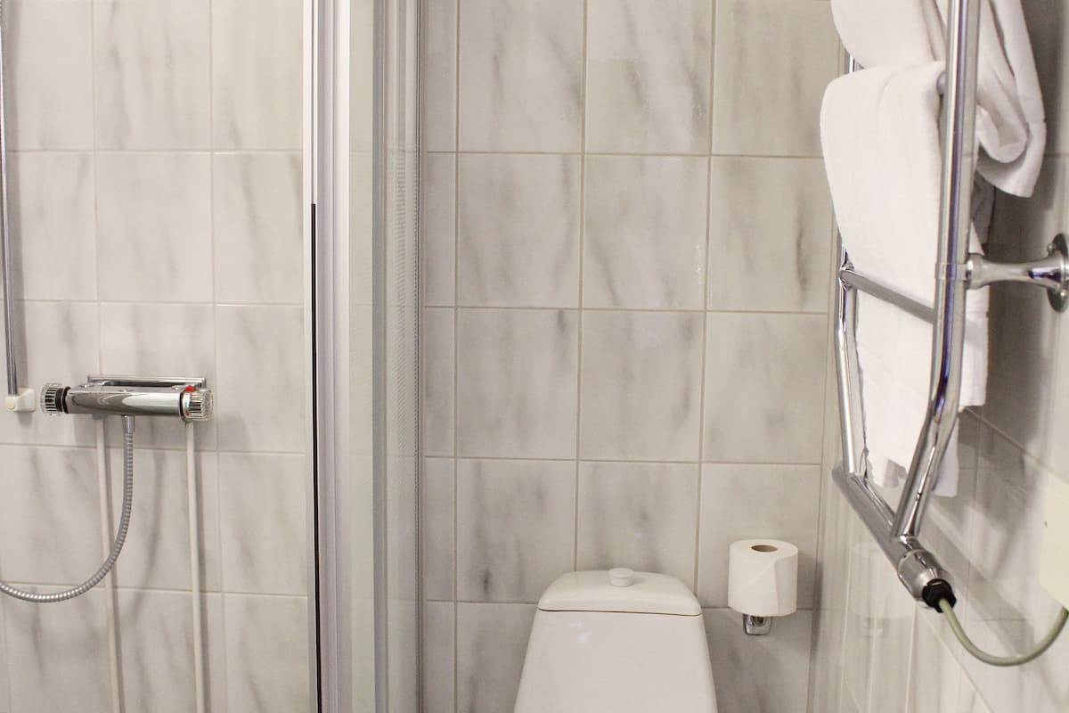 shower, free toiletries, hair dryer, towels