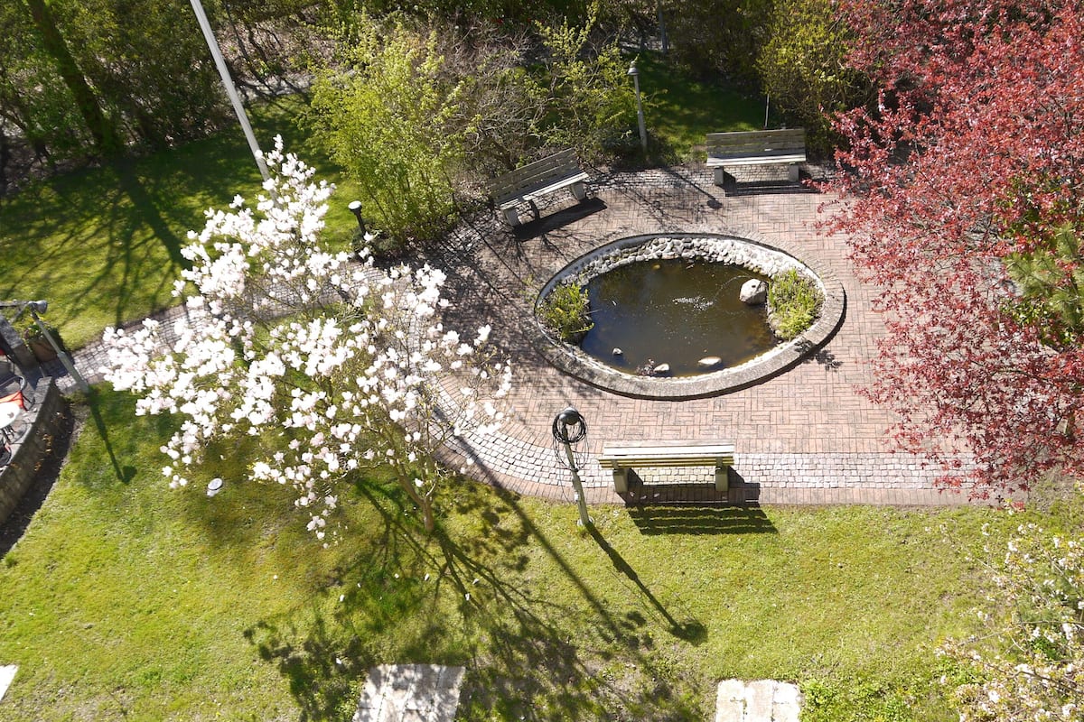 View from room