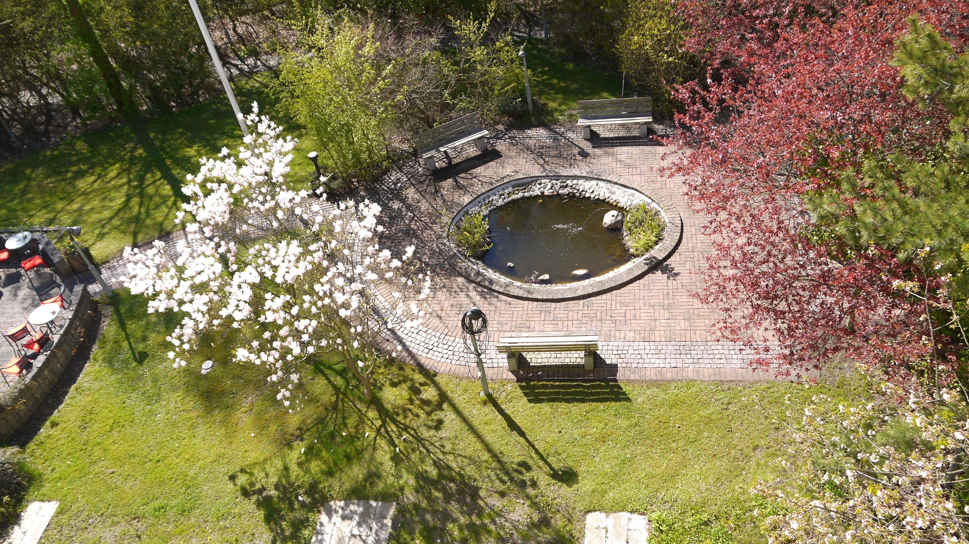 An aerial view of a park with a circular pond, benches, and a picnic area.