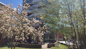Un edificio moderno con varios pisos y amplias ventanas, rodeado de árboles en flor y un jardín bien cuidado.